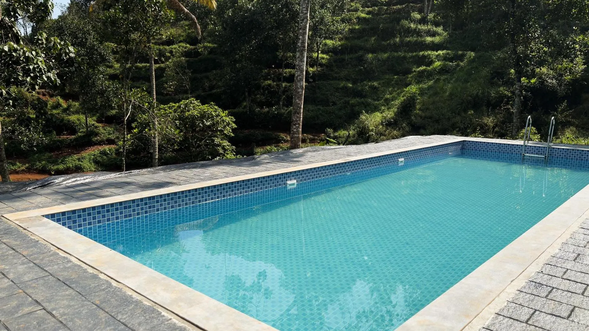Eco Hills Private Pool Villa Munnar