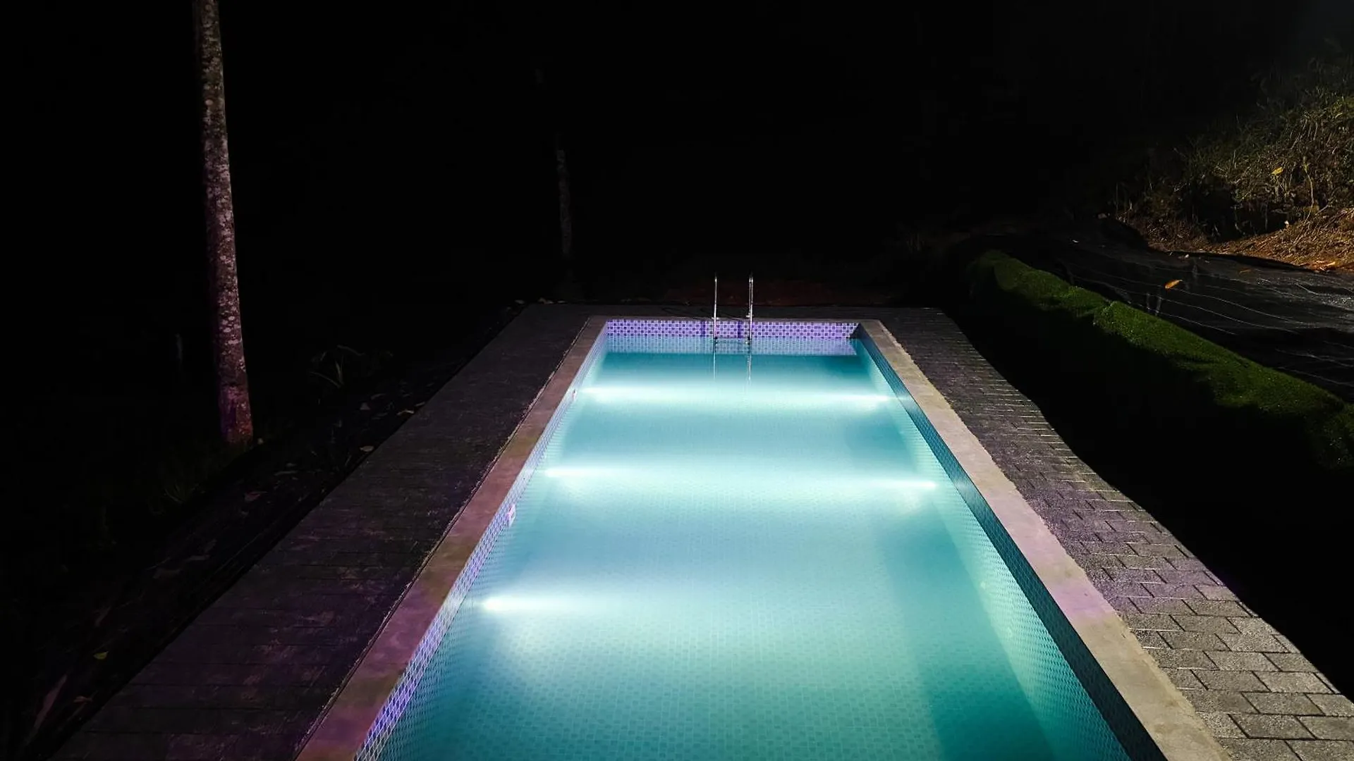Eco Hills Private Pool Villa Munnar India