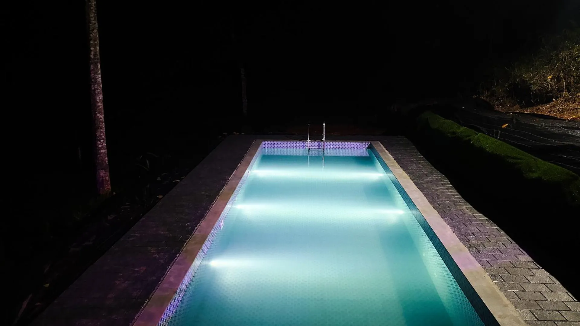 Eco Hills Private Pool Villa Munnar
